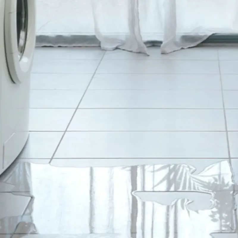 Appliance Leak Cleanup in Henderson, NC