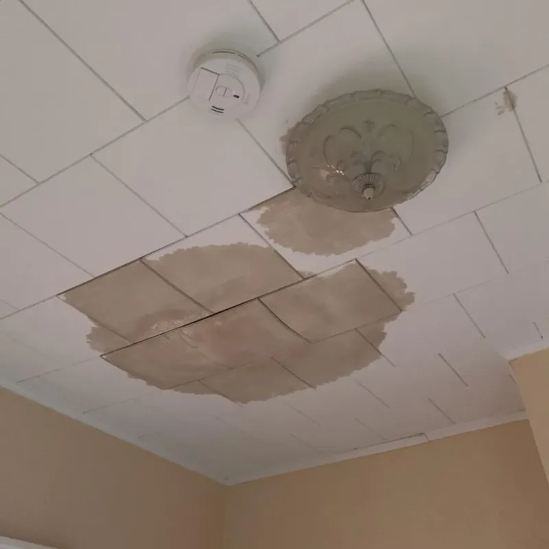 Ceiling Water Damage Repair in Henderson, NC