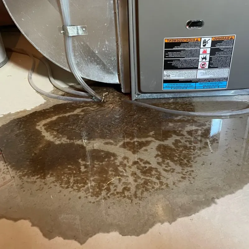 Pipe Burst and Leak Restoration in Henderson, NC