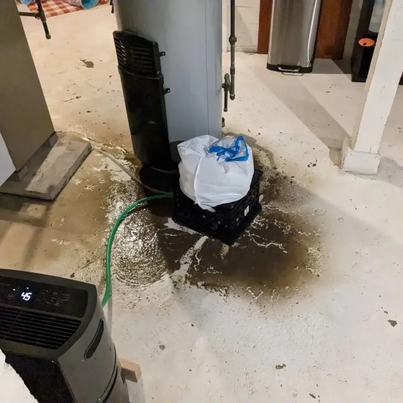 Sewage Backup Cleanup Service in Henderson, NC